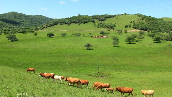 Shaped Appetizer Scenic Spot, Guanshan Yunfeng Scenic Area