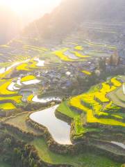 Mali Village Terraced Field