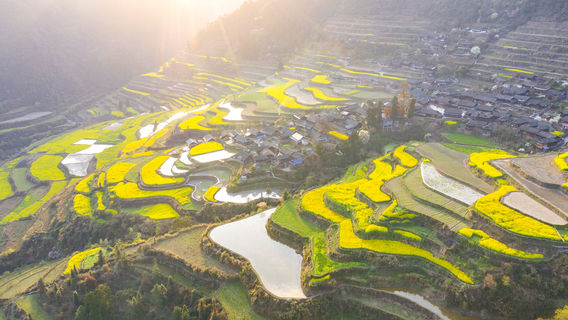 Mali Village Terraced Field