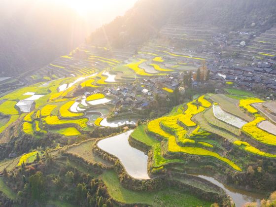 Mali Village Terraced Field