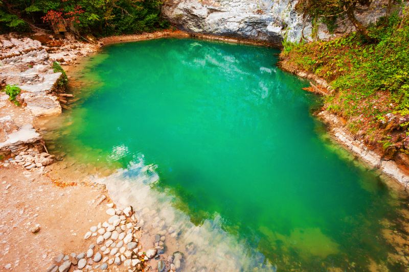 Nanhai Bay Forest Ecological Park