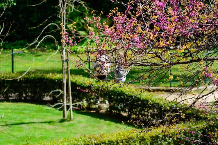 Hotels near Beiqiao Park