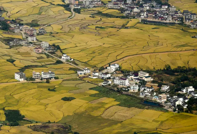 Guizhou Terraced Fields