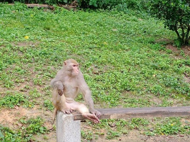 첸링산 공원