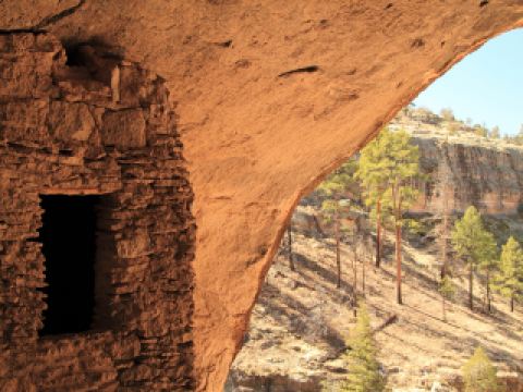 Direct flight from Tucson to Silver City tickets