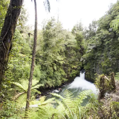 Pullman Rotorua