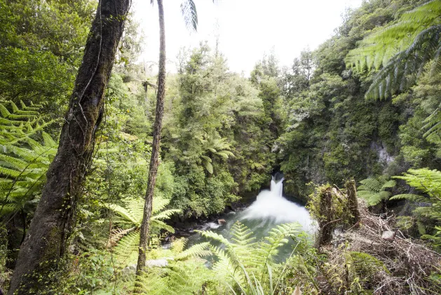 Flights from Christchurch to Tauranga