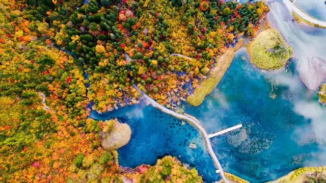 Fall Leaves Viewing in Li County