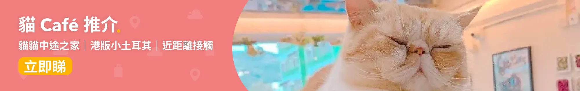 貓 Cafe😺│愛貓天堂—十大港九新界貓 Café 推介