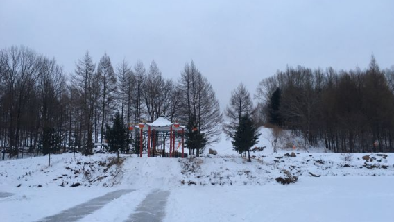 Changqing Forest Farm