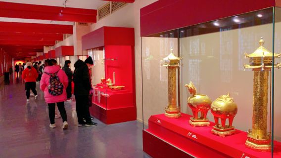 Tour di mezza giornata al Museo del Palazzo di Pechino [Tour tour privato in lingua inglese per 2-5 persone con guida indipendente]