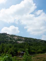 Zouchengshi Hujia Mountain Botanical Garden