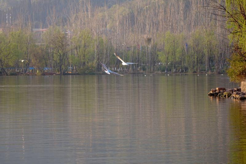 Mengxunhuahai Wetland Park