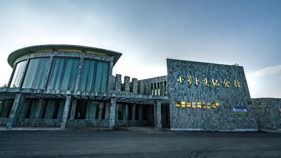 xiao luo bo tou ji nian guan
