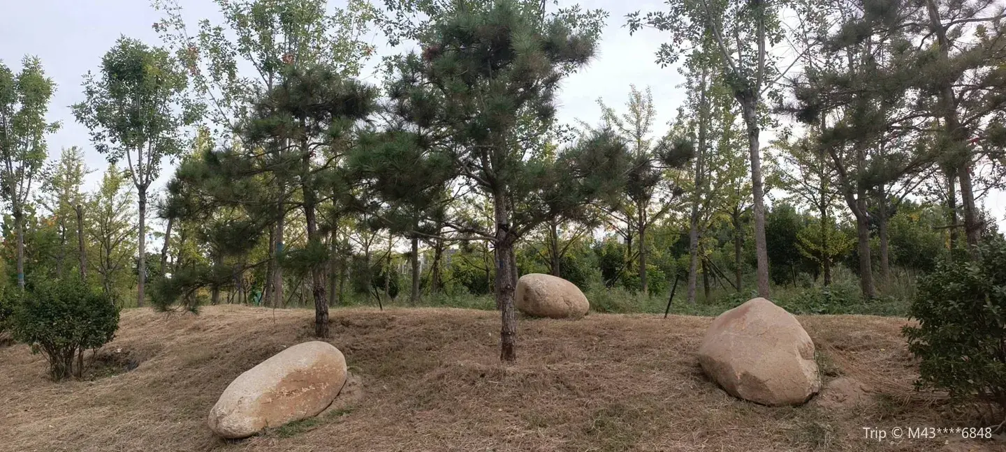 1_South-To-North Water Diversion Ecological and Cultural Park