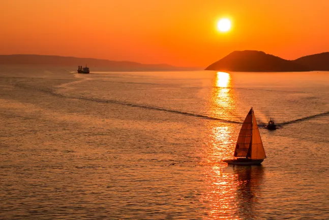 Zadar Homestays