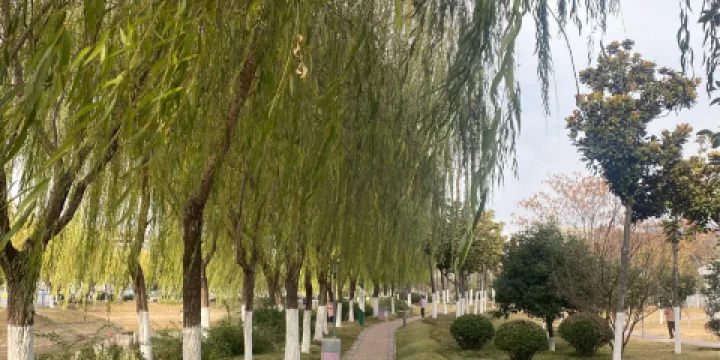 宿州市大陳溝公園