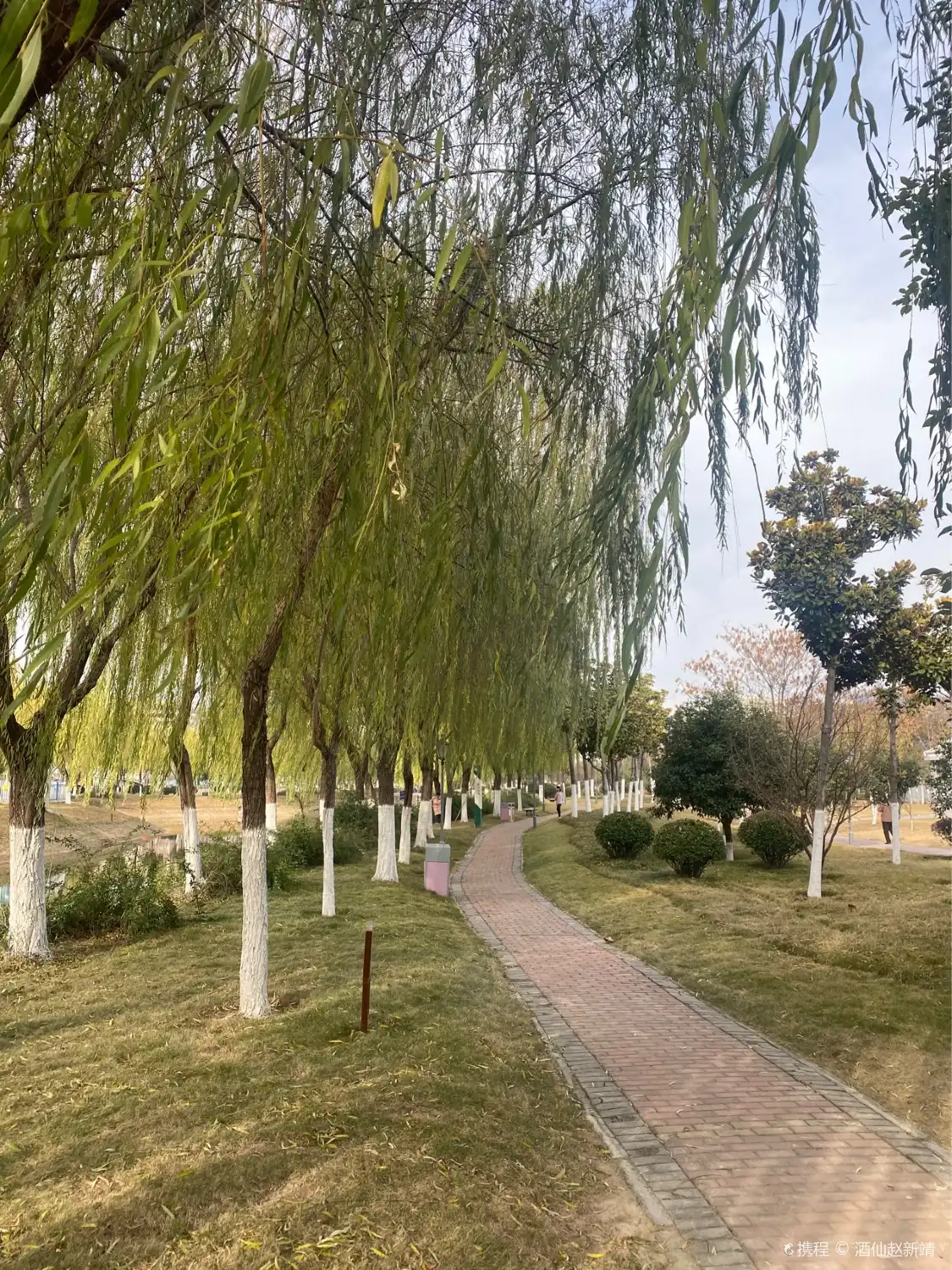 宿州市大陳溝公園附近的飯店