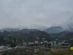 칭허구전/청하고진