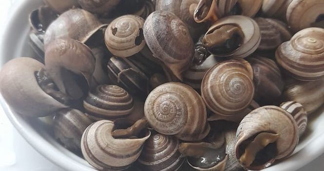Tasquinha do Gavetas