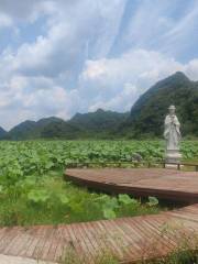 Lotus Garden, Miles Corridor