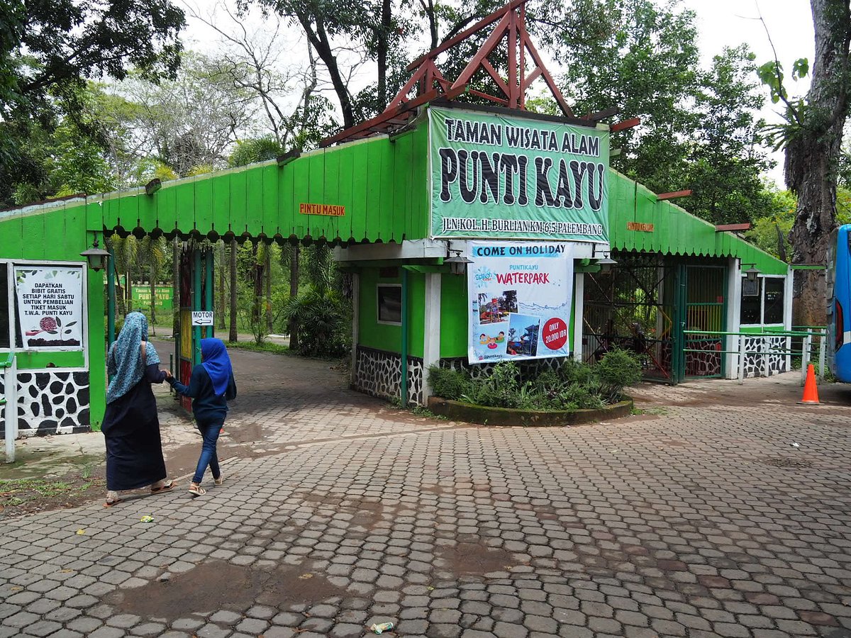 Latest travel itineraries for Taman Wisata Alam Punti Kayu in October ...