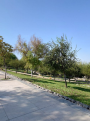 Amengual Park