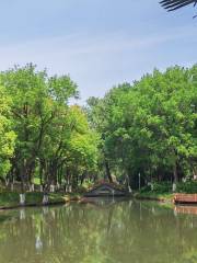 Nanshan Bamboo Trail (Nanjing Science and Technology Museum)