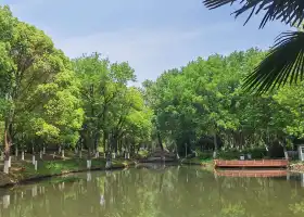 Nanshan Bamboo Trail (Nanjing Science and Technology Museum)