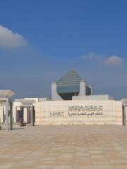 The National Museum of Egyptian Civilization