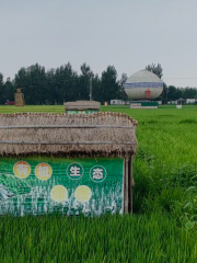 三蓮稻田公園