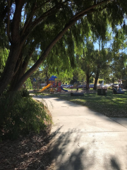 Wyeth-McNamara Park Playground