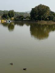 Sukhna Lake Chandigarh