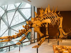 Shanghai Natural History Museum