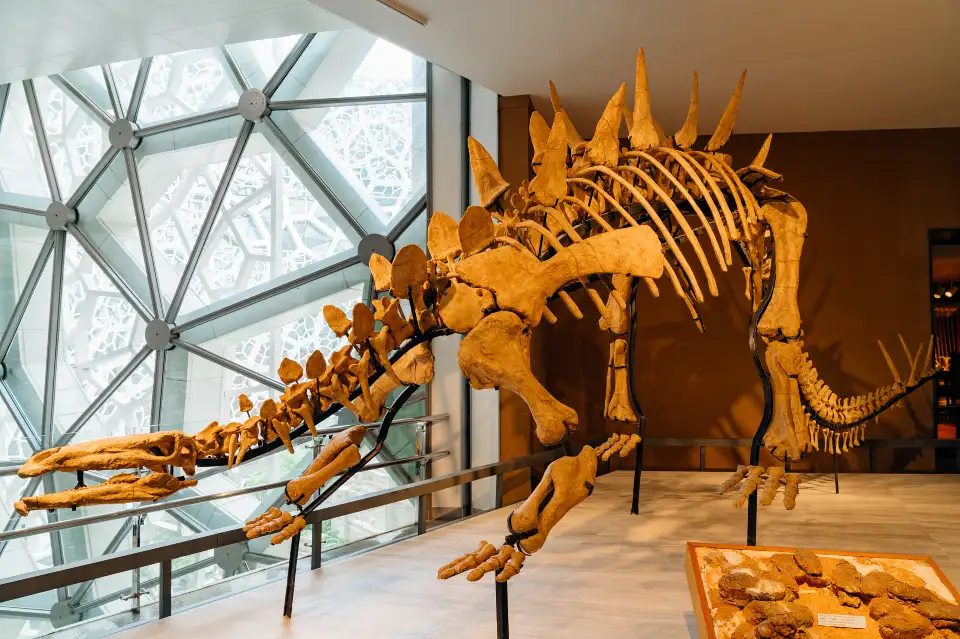 3_Shanghai Natural History Museum