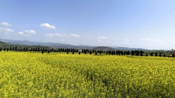 Yangxian Youcaihua Haizhu Assembly Hall