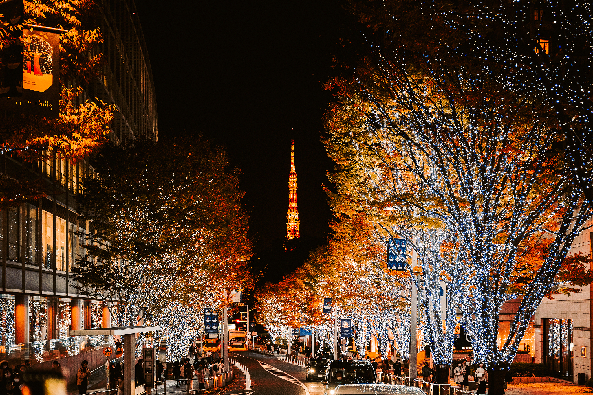 Roppongi District