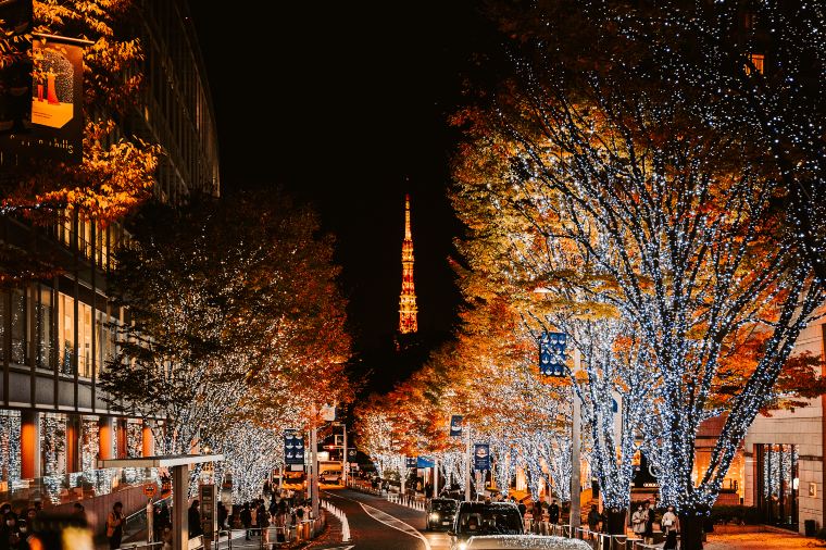 캐나다 크리스마스 마켓