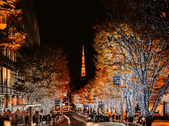 Roppongi District