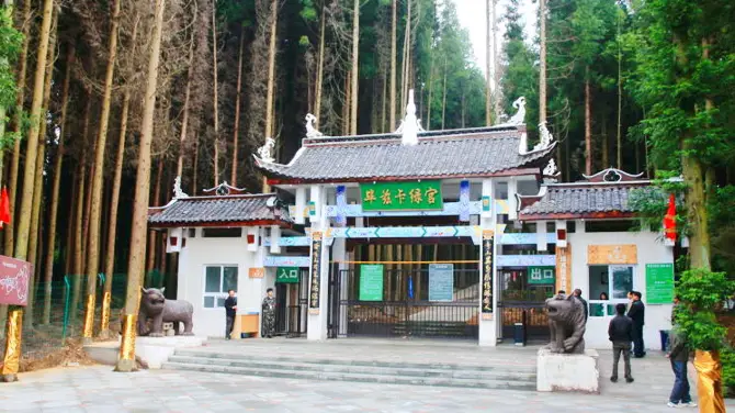 （重慶黃水旅遊度假區）畢茲卡綠宮