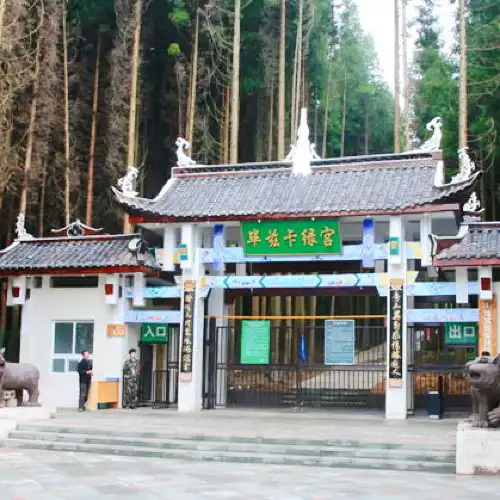 （重慶黃水旅遊度假區）畢茲卡綠宮