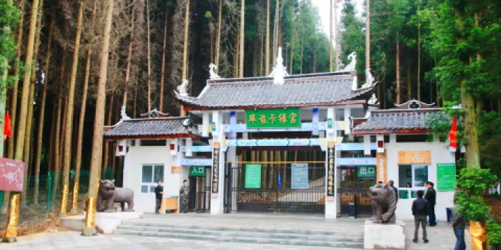 （重慶黃水旅遊度假區）畢茲卡綠宮