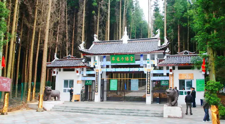 （重慶黃水旅遊度假區）畢茲卡綠宮