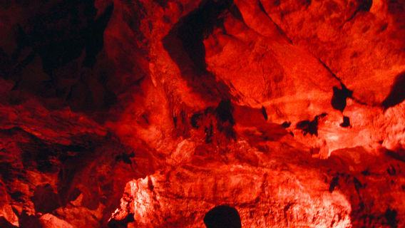 The Lost Sea Adventure