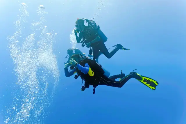 Diving in Maldives