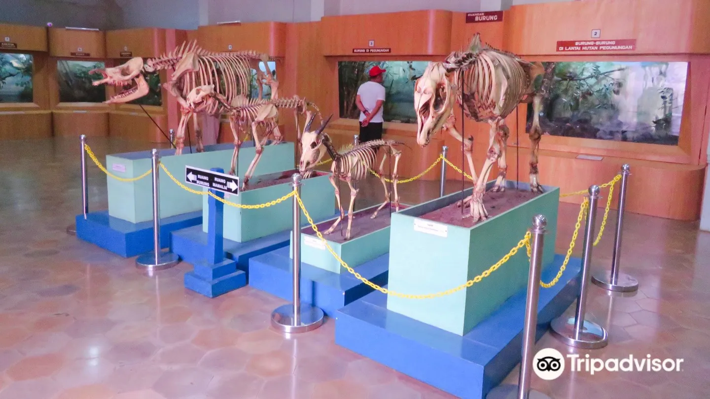 3_Museum of Zoology (Museum Zoologicum Bogoriense)