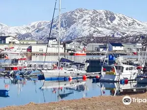 Sommarøy Cruise
