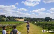 Parkside Farm Pick Your Own