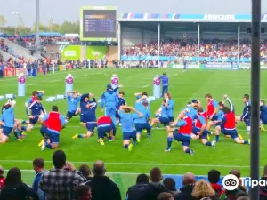 Sandy Park