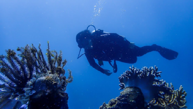 Nha Trang Sea Star Diving Center